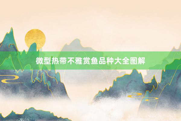 微型热带不雅赏鱼品种大全图解