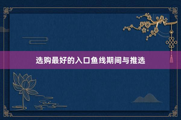 选购最好的入口鱼线期间与推选